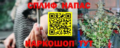 таблы Будённовск