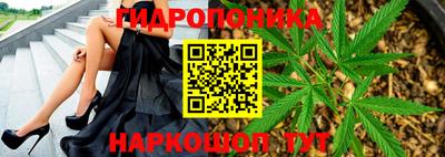 трава Бузулук