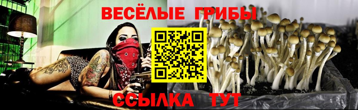 Одинцово  Галлюциногенные грибы GOLDEN TEACHER  Вход с VPN 